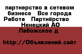 партнерство в сетевом бизнесе - Все города Работа » Партнёрство   . Ненецкий АО,Лабожское д.